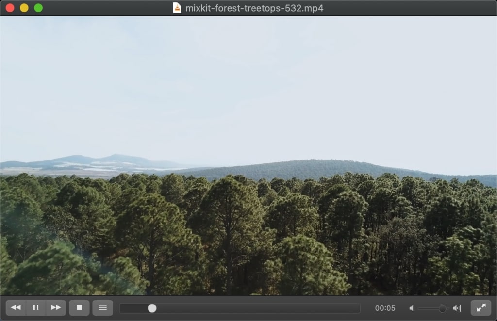 20200402133841852-1024x662-1